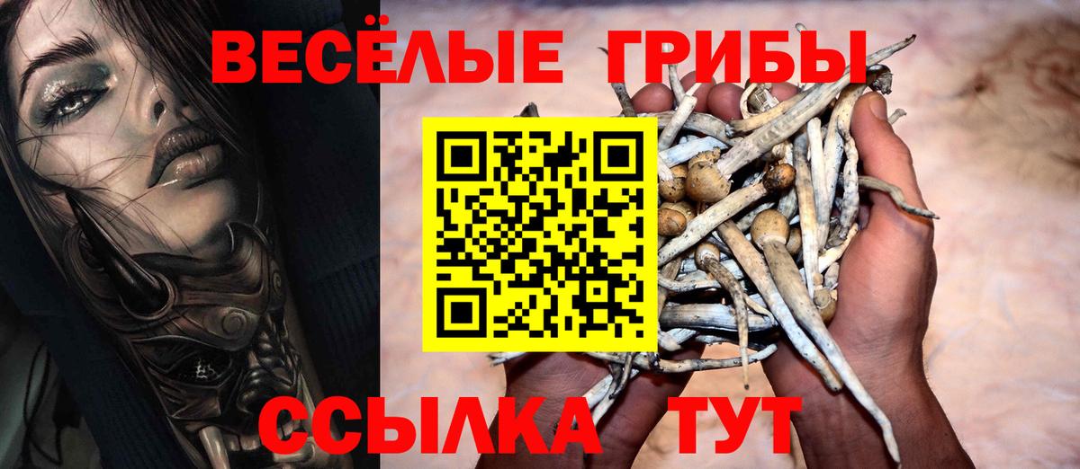 Псилоцибиновые грибы GOLDEN TEACHER Красноармейск